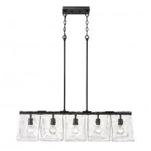  6072-LP BLK-HWG - Linear Pendant